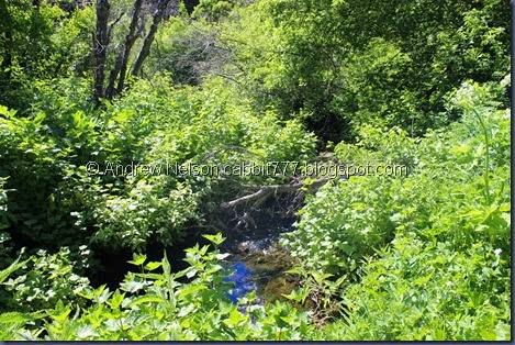 IMG_4710