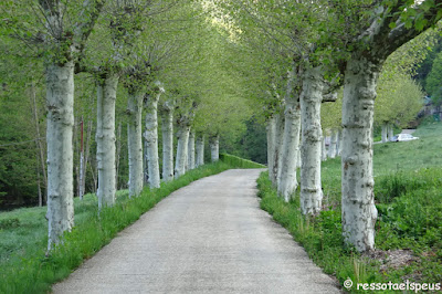 Sant Amand des del balneari de Montagut