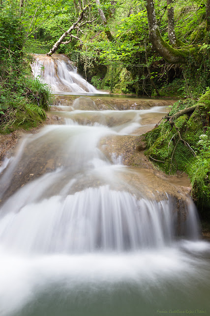 Primavera y cascadas