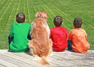 Autism and sensitivities, three boys and dog