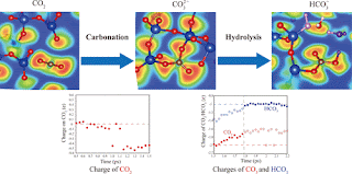 CO2 -> Carbonation -> Hydrolasis (Credit: J. Phys. Chem.) Click to Enlarge.