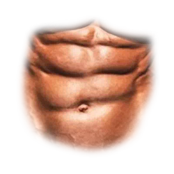 Six Pack Abs Png & Free Six Pack Abs.png Transparent