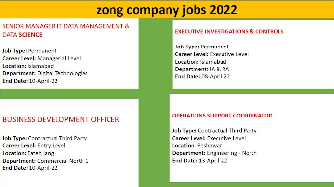 zong company jobs 2022 Online Apply