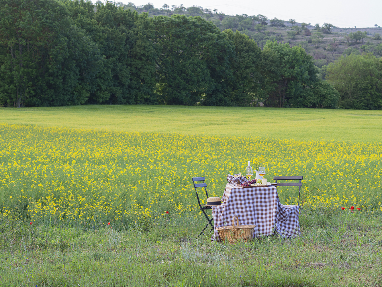 Una mesa campestre entre campos de colza para celebrar el amor_2