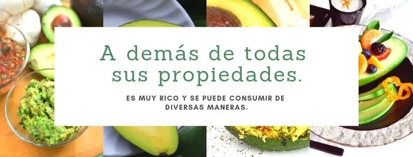 Los 5 grandes BENEFICIOS que notaras al consumir un AGUACATE al día.