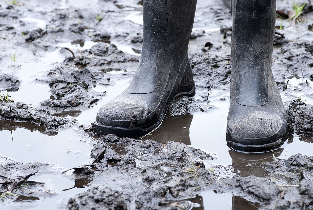 What Will A Borehole Look Like When It Is Finished?