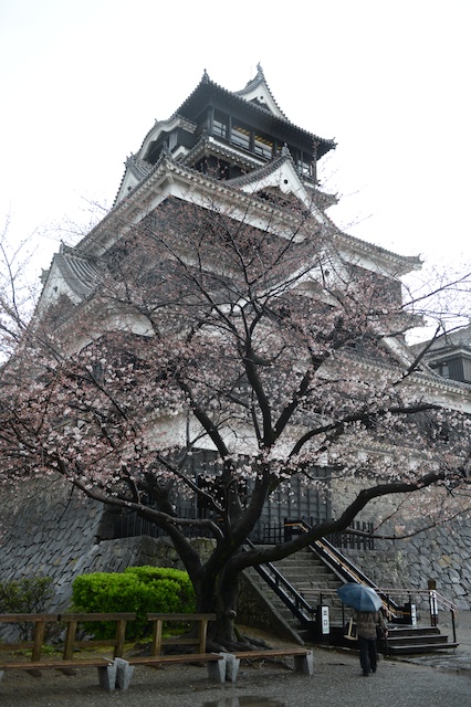 20130408-DSC_1914A.jpg