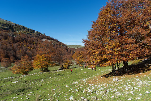 Nei pressi del rif. Campitelli