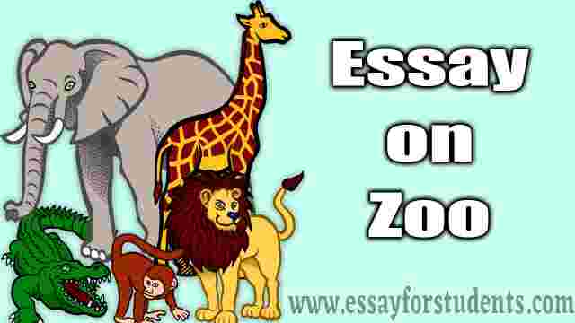 Essay on Zoo in English | [Essay for Students]