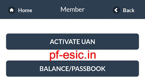 m-epf app member screen