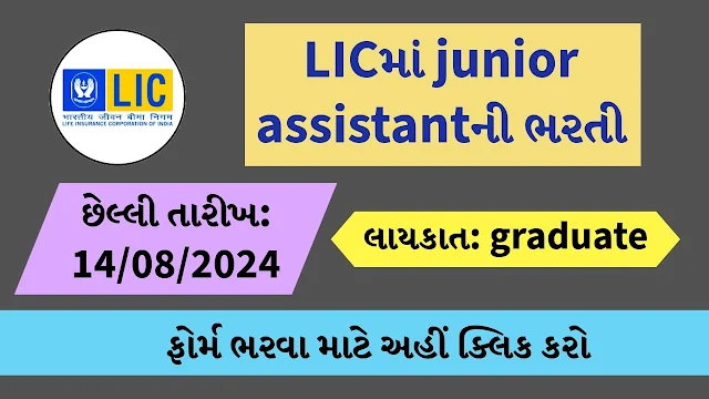 LIC HLF Junior Assistant Recruitment 2024