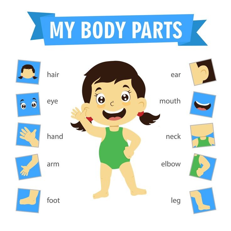 Female full body parts name with Picture download| ফিমেল ফুল বডি পার্ট নেইম ওইথ পিকচার ডাউনলোড