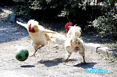 Funny Pictures - Funny Soccer