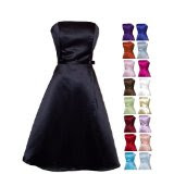 Prom Dress Holiday Gown