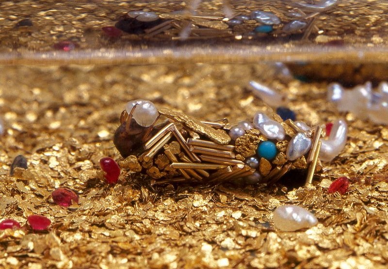 hubert-duprat-caddisfly-larvae-1
