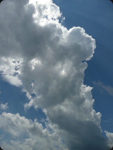 skywatch VS