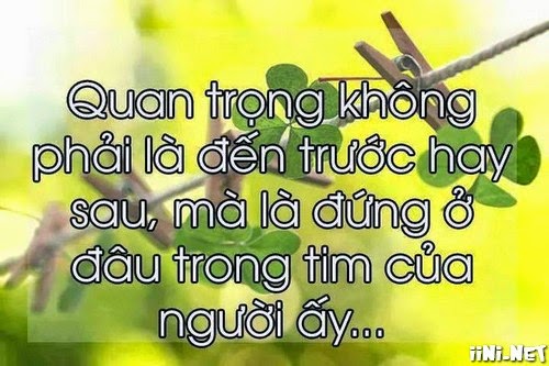 Vãi lìn với những câu nói về tình yêu hay nhất trần gian - stt 6