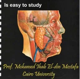 كتاب head and neck anatomy