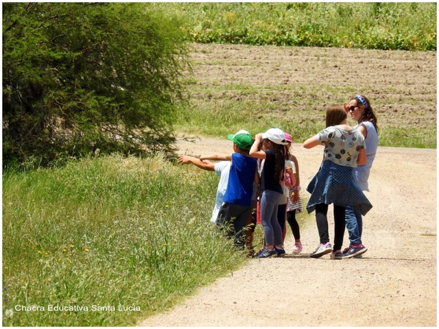 Observando plantas y aves en la recorrida de la Chacra - Chacra Educativa Santa Lucía