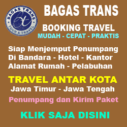 TRAVEL BAGAS TRANS