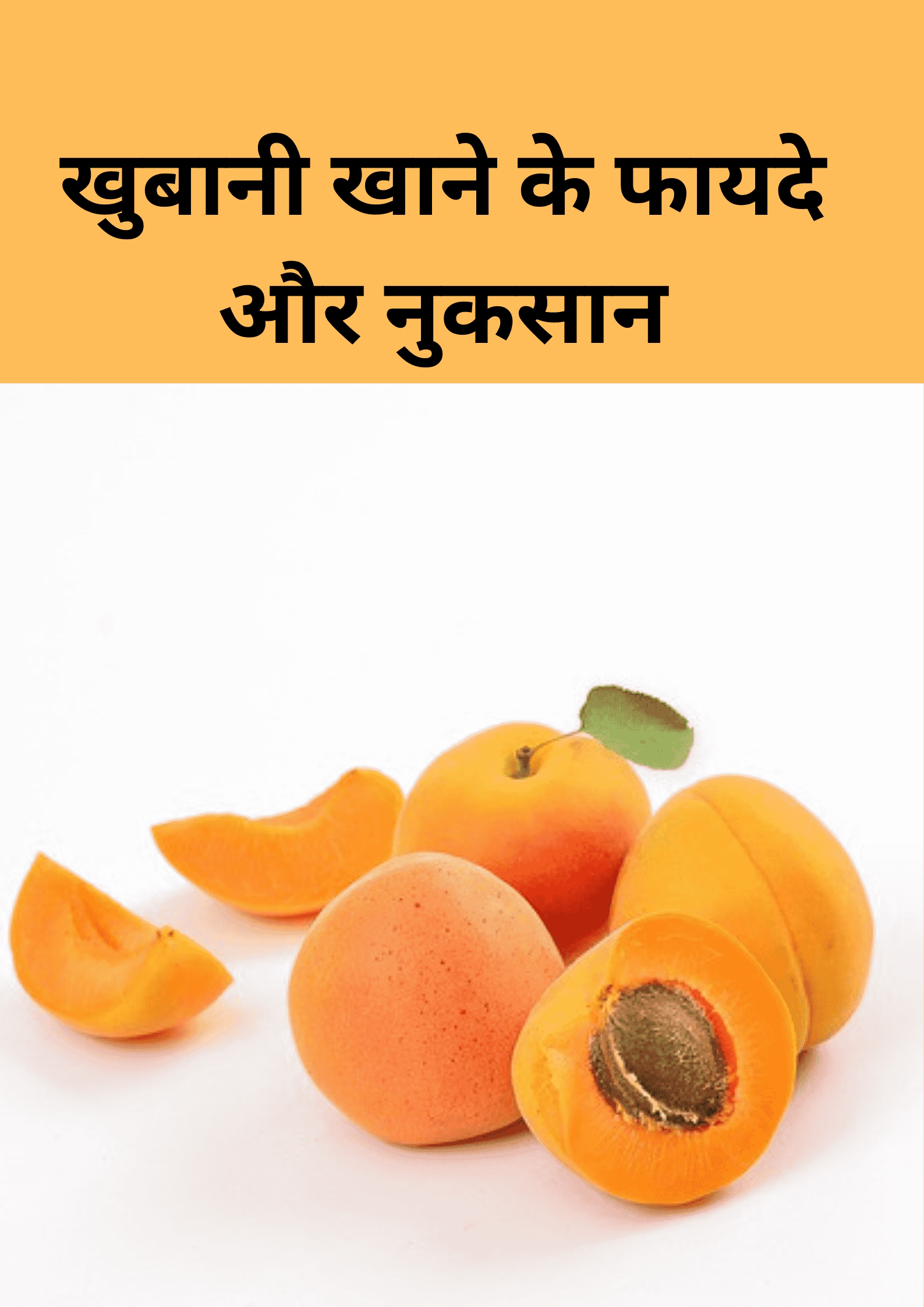 खूबानी के फायदे और नुकसान : Apricot fruit in hindi