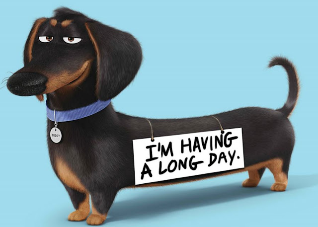 These are Very Hilarious Character Posters from 'The Secret Life of Pets'