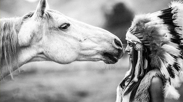 Native American Horse Pictures