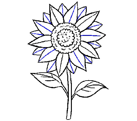  Gambar  Bunga  Mawar Hitam Putih Untuk Diwarnai