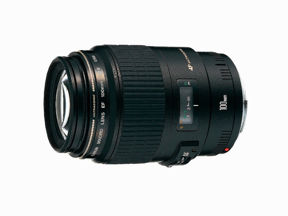 best macro lens for canon