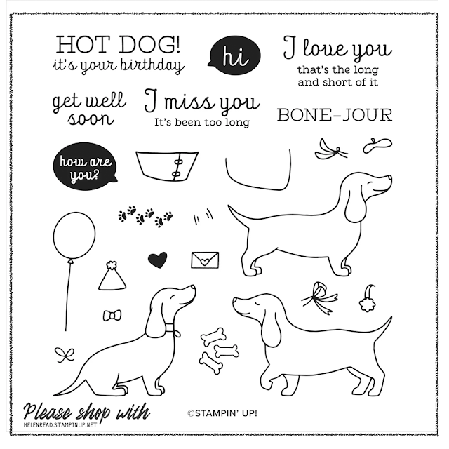 Hot Dog Stampin Up card ideas