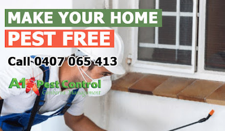 best pest control in Canberra