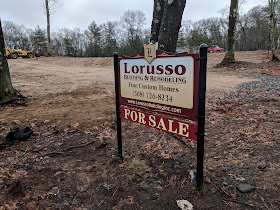 One of four lots for sale on Pleasant St near the DelCarte Open Space