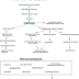 Pathway tonsilitis