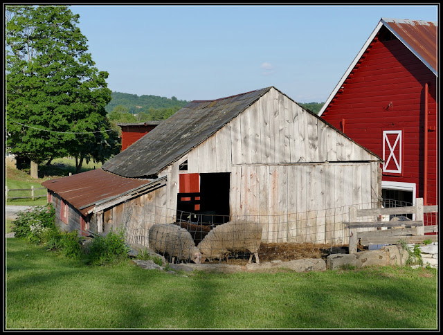 Granville NY, Dancing Ewe Farm