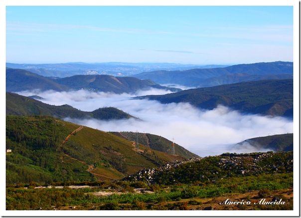 nevoeiro matinal III