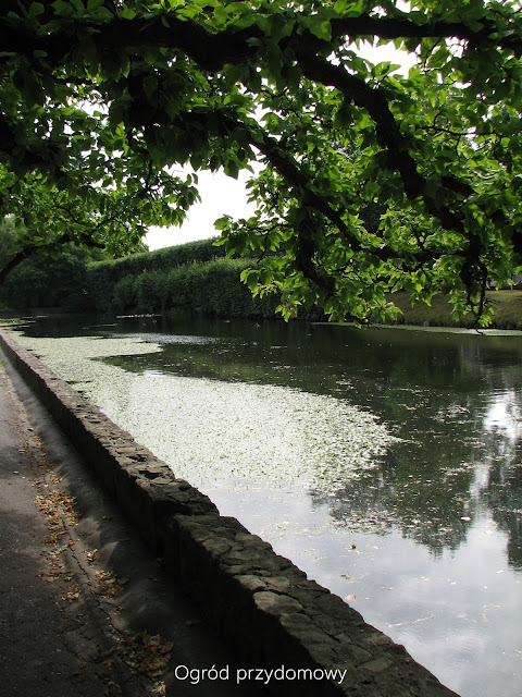 Park Oliwski, ogrod przydomowy