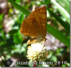 photo #8