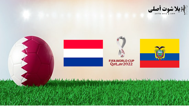 بث مباشر مباراة هولندا والإكوادور كاس العالم قطر اليوم 25-11-2022