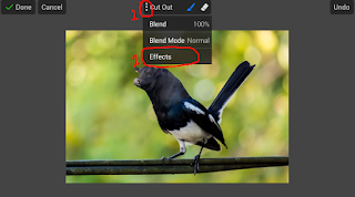 Tutorial Edit Foto Malipulasi Hewan Dengan PicSay Pro