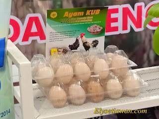 gambar telur ayam kub