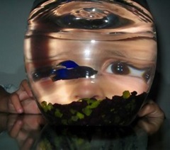 peter_and_the_fish_tl