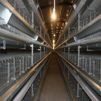 Automated Poultry Farming Equipment