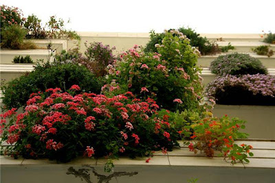 garden balcony