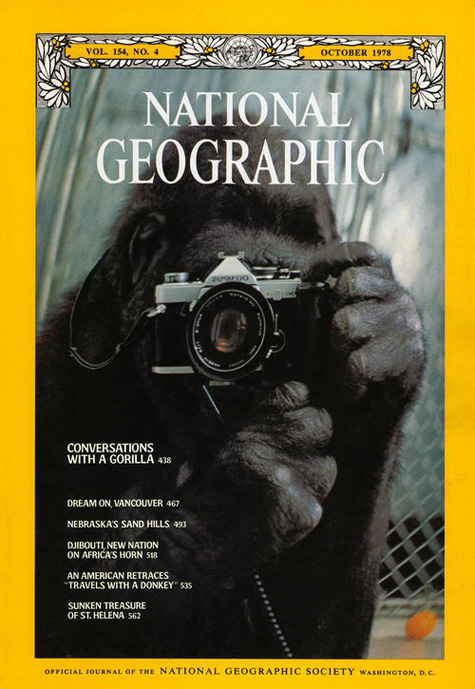 National Geographic Gorilla with Camera Cover