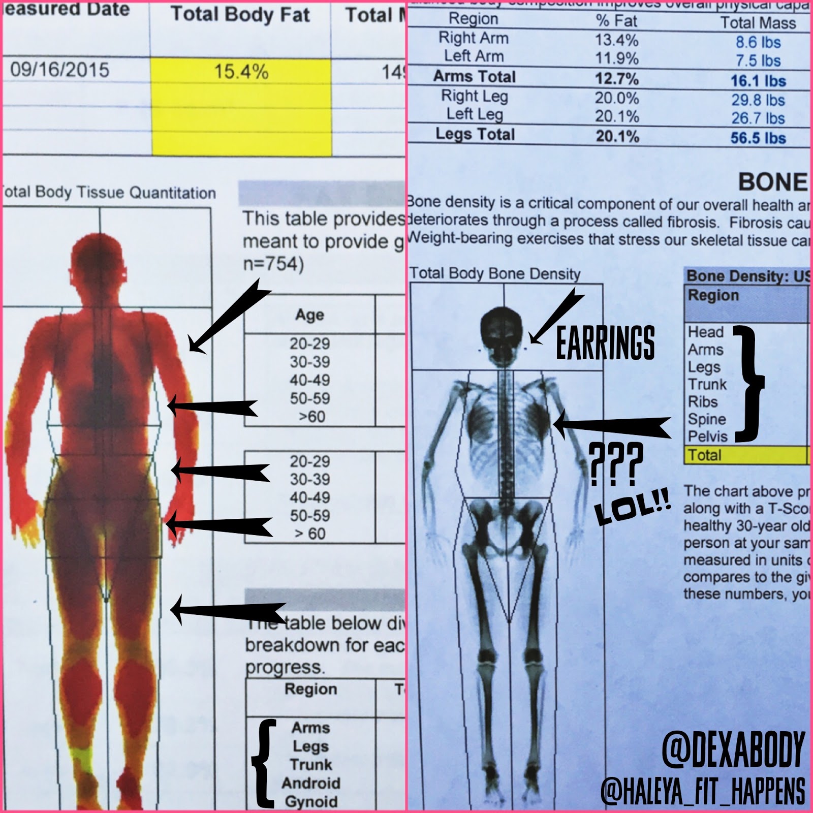 Fit Happens: Dexa Scan Results