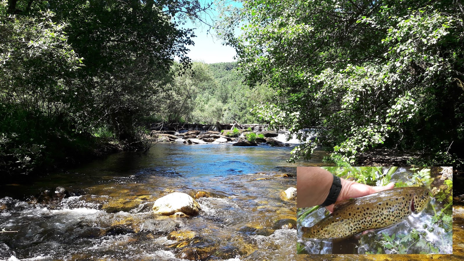 DE PESCA POR EL OMAÑA 👇