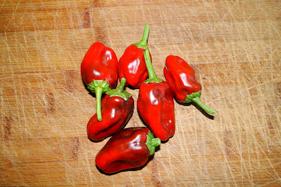 Sweat Heat Peppers