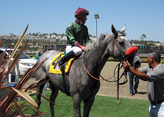 Winner of 1st race. I think he was skittish of my camera.