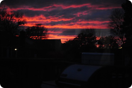 blog 2011 066
