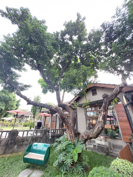 屏東勝利星村創意生活園區舊日軍宿舍活化成文創聚落80品牌進駐